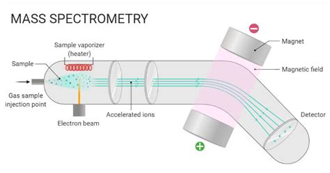 how mass spectrometer works|what does a mass spectrum tell you.